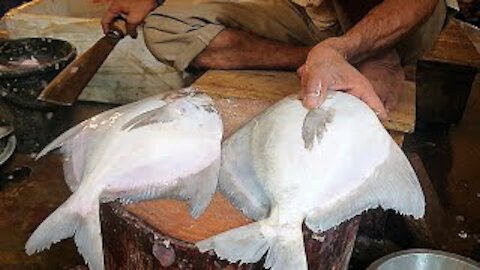 Very Costy & Delicious Huge Pomfret Fish Cutting Live In Fish Market | Fillet Fishing Cut