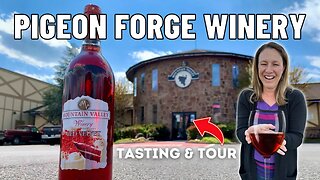 FREE Pigeon Forge Wine Tasting | Mountain Valley Winery Behind the Scenes Tour