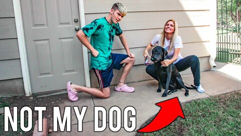 SHE SWITCHED MY DOG! (WILL I NOTICE?)
