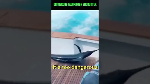 Dangerous Swordfish Encounter #shorts #swordfish #danger #fishing #deep sea fishing #youtube Shorts