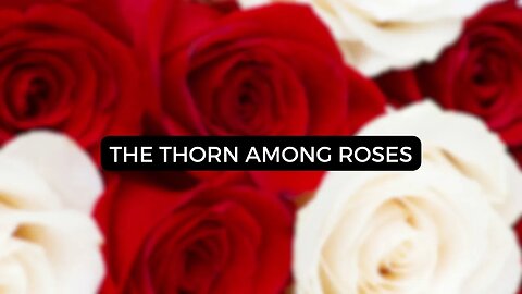 The thorn among roses: A short Story