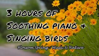 Soothing music with piano and bird sound for 3 hours, relaxation music for stress relief