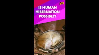 How Does Hibernation Works