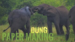 Elephant Dung Recycling - Uganda