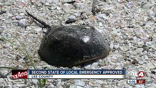 Lee County Commission approved a second State of Emergency