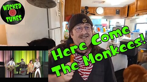 🎵 - New Rock and Roll Music - The Monkees - You Bring The Summer - REACTION