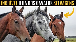 A INCRIVEL ILHA DOS CAVALOS SELVAGENS Sable Island