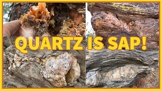 QUARTZ IS SAP!