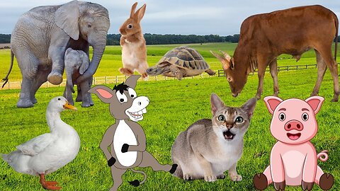 Relax with farm animals- horse, sheep, cat, pig, giraffe, elephant, Cow, goat, duck, chicken - part1
