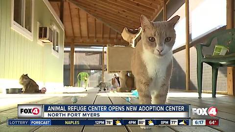 Animal refuge center opens new adoption center