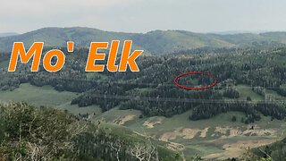 Summer Scouting 2024 - At least we saw elk