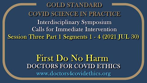 2021 JUL 30 CoV19 Ethics Symposium S03 Part 1 First Do No Harm Drs Palmer, Bhakdi, Yeadon
