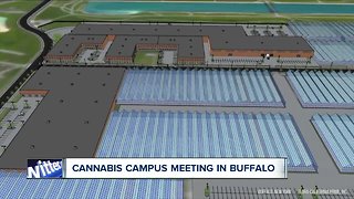 Flora Buffalo hosts forum about proposed cannabis campus