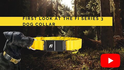 First look at the FI Series 3 Collar