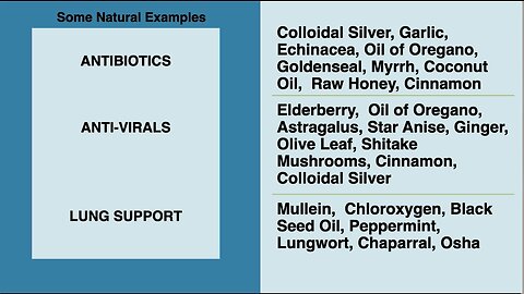 Dr. Jana Schmidt | “You May Have In Your Pantry Of Natural Antibiotics, Anti-virals, Lung Support”