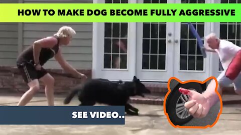 How To Make Dog Become Fully Aggressive , See video
