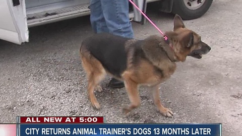 City returns animal trainer's dogs, trainer agrees to drop lawsuits