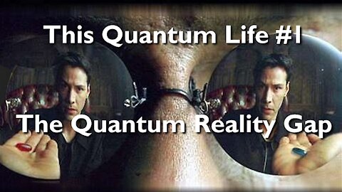 This Quantum Life #1 - The Quantum Reality Gap