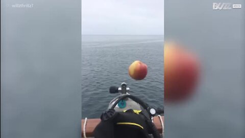 Mergulhadores usam botija de ar para levitar uma maçã