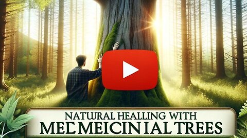 Natural Healing With Medicinal Trees: A Journey To Unlock Their Healing Powers