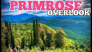 Primrose Overlook at Mount Timpanogos Wilderness Area