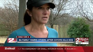 Coyote jumps fence, steals, then kills family dog
