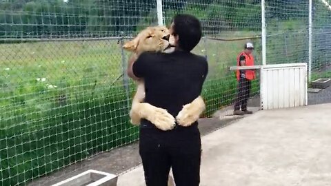 The lion's friend is a man