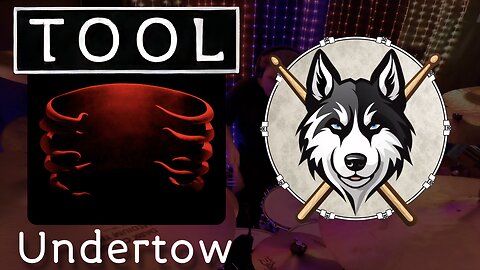 25 — TOOL — Undertow — Drum Cover by HuskeyDrums