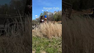 Unloading the Cattle Chute