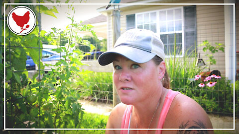 An Assassin in the Garden? - A Good Life Farm Vlog