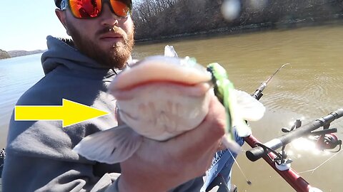 The WORST Fish to Catch while CRAPPIE Fishing (Find Crappie in Spring)