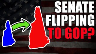 Could New Hampshire be flipping to RED in the Senate? Democrats are panicking! Don Bolduc is leading