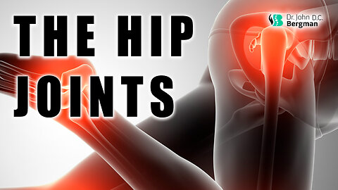 The Hip Joints