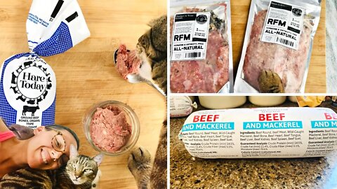Raw cat food I don't feed anymore but still recommend
