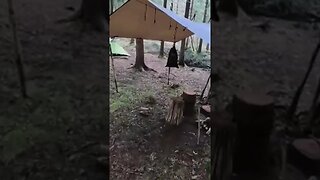 woodland wildcamping set up Jan 2023