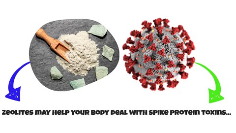 Can Zeolites help remove Spike Proteins from your body?
