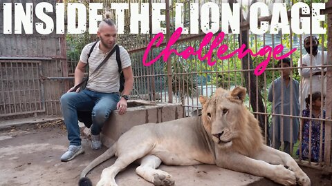 Fear Challenge - Inside a Lion Cage in Pakistan (2022)