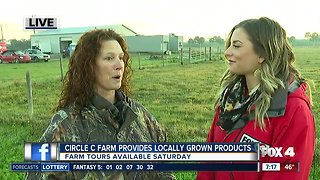 Circle C Farm offers pasture tours on Saturday