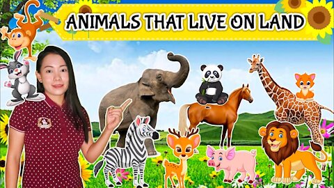 Animal that live in Land , Must Watch