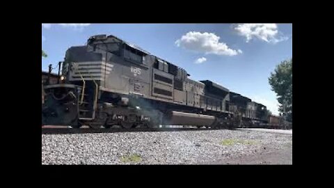 Trains: Norfolk Southern short run