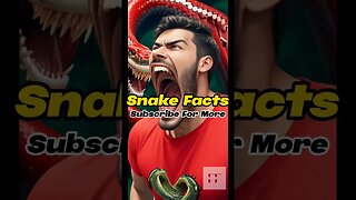 Snake Facts - I Bet You Don't Know #shorts #snake #reptiles