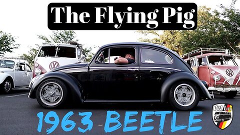 The Flying Pig - 1963 VW Bug!
