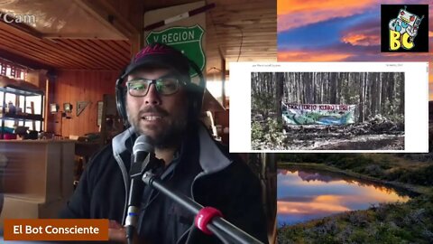 La otra internacionalización del conflicto mapuche: forestales venden a fondos de inv. extranjera