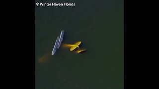 Dois aviões se chocam no ar e despencam em lago nos EUA deixando ao menos 4 mortos