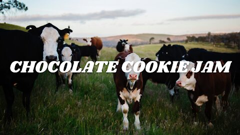 CHOCOLATE COOKIE JAM – An Jone (No Copyright Music)