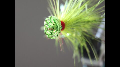 Fly Tying the Cupped Mylar Bass Fly