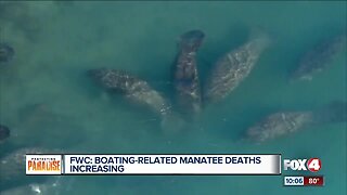Boating-related Manatee Deaths