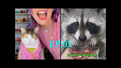 Best Animal Voiceovers - Ep. 02 (NEW)