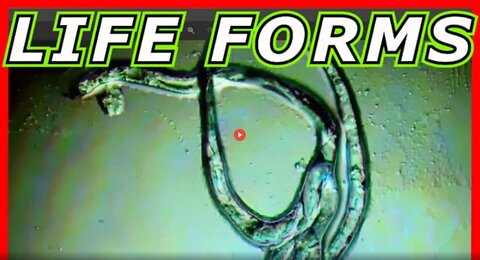 VACCINE "LIFE FORMS" & MICRO-TECHNOLOGY – PFIZER – DR. JOSÉ LUIS SEVILLANO