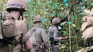 Rifles in the Nam - Search & Destroy The End
